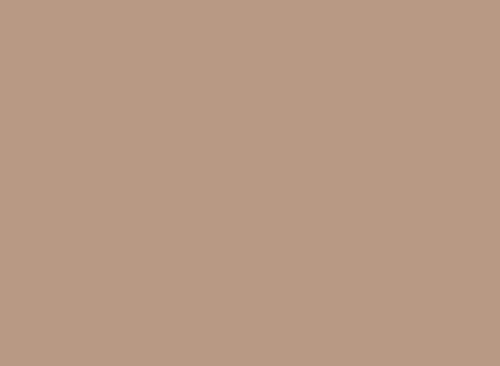 Light Brown REF 1236
